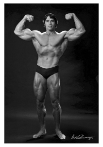 Póster Arnold Schwarzenegger