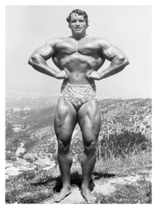 Póster Arnold Alois Schwarzenegger