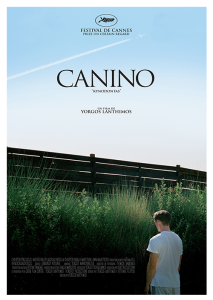 Póster Canino edición española