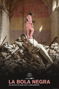 Póster La bola negra