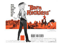 Póster Born reckless