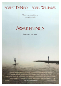 Póster Despertares