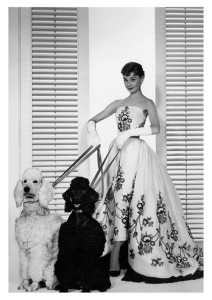 Póster Audrey Hepburn en Sabrina
