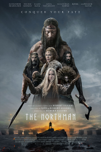 Póster El hombre del norte
